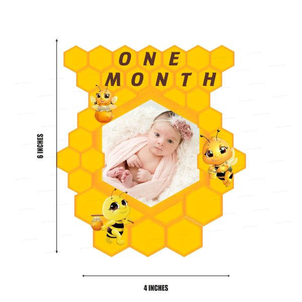 Bumble Bee Theme 12 Months Photo Banner Sale