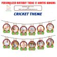 Cricket Theme 12 Months Photo Banner Hot on Sale