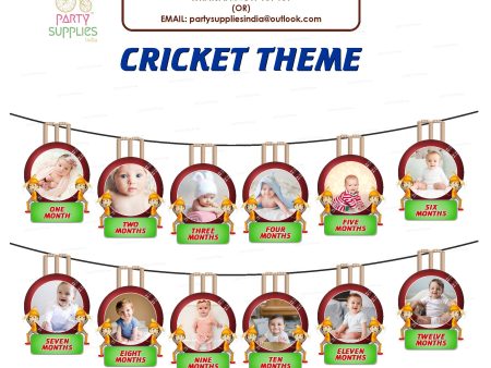 Cricket Theme 12 Months Photo Banner Hot on Sale