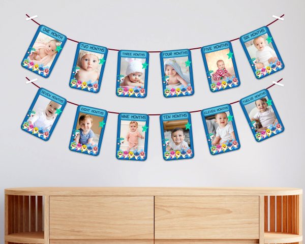 Shark Theme 12 Months Photo Banner Discount