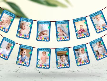 Shark Theme 12 Months Photo Banner Discount