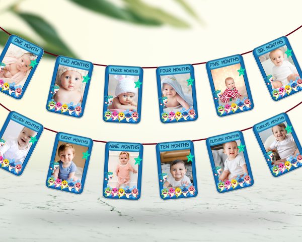 Shark Theme 12 Months Photo Banner Discount